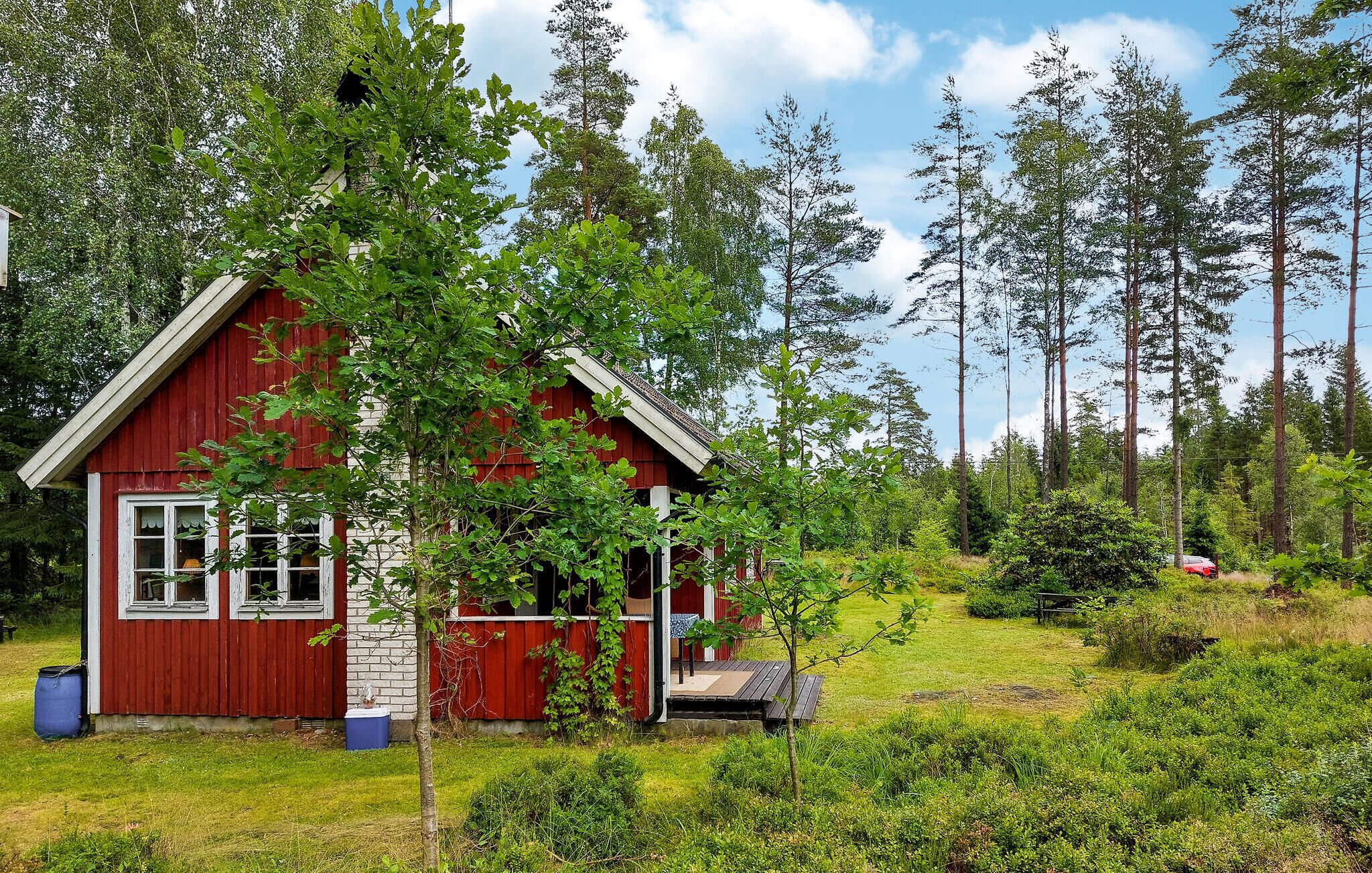 Eine kleine rote Holzhütte mit Veranda, umgeben von dichtem Wald und hohen Bäumen.