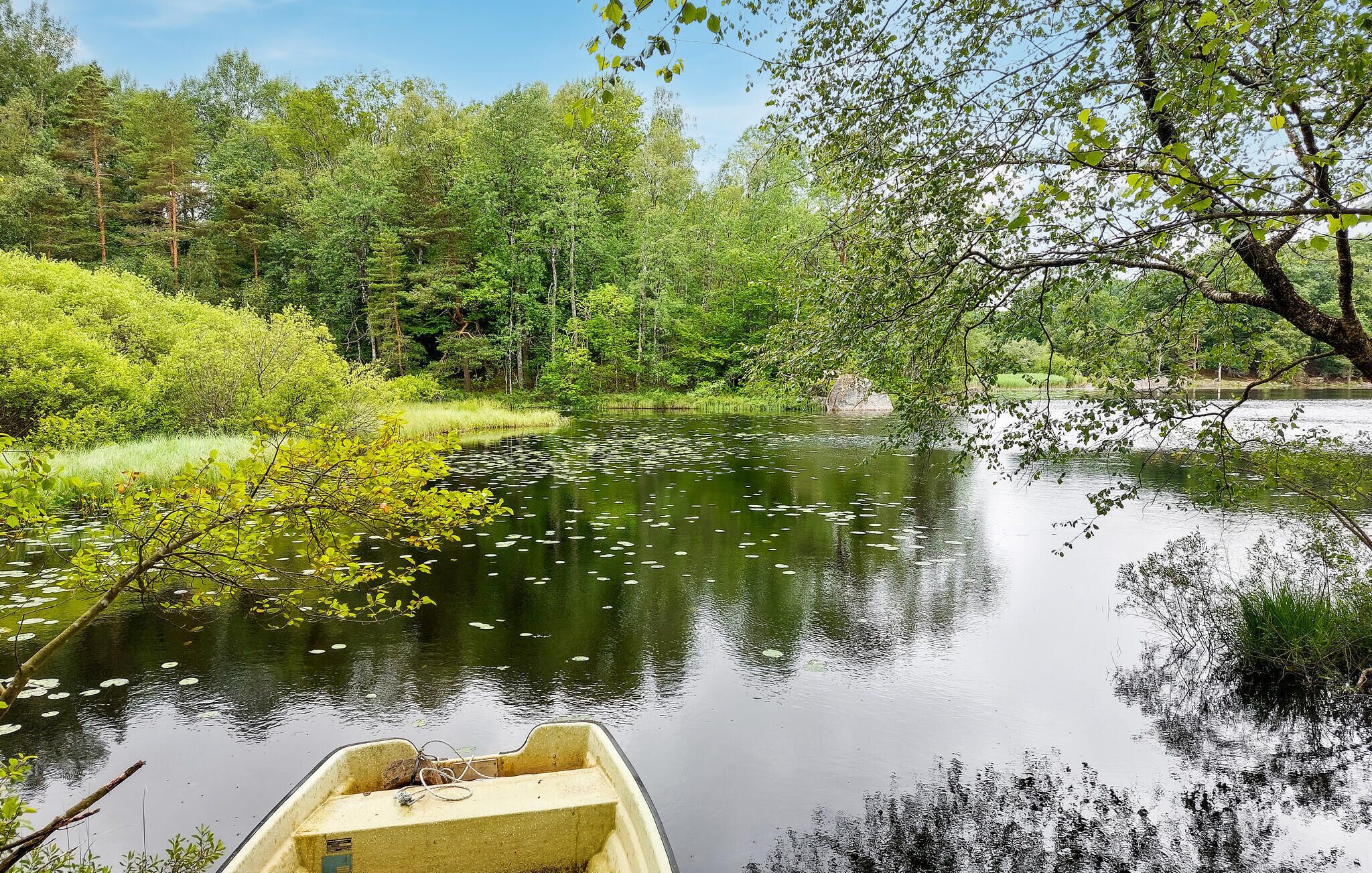 Un bateau sur une rivière paisible, entouré d’une végétation luxuriante et d’arbres.
