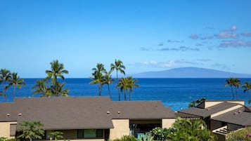 Lejlighed (2 Bedrooms) | Udsigt fra værelset