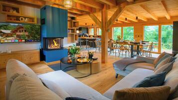 Télévision, cheminée, chaßne hi-fi