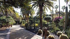 Een pad bezaaid met diverse cactussen en palmbomen, dat door een tuin slingert met een grindpad en een houten bankje.