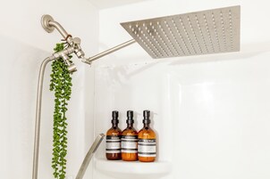 Eine Dusche mit Handbrause, Regendusche und einer Pflanze. Auf einem Regal befinden sich drei Flaschen mit Duschgel, Shampoo und Conditioner.