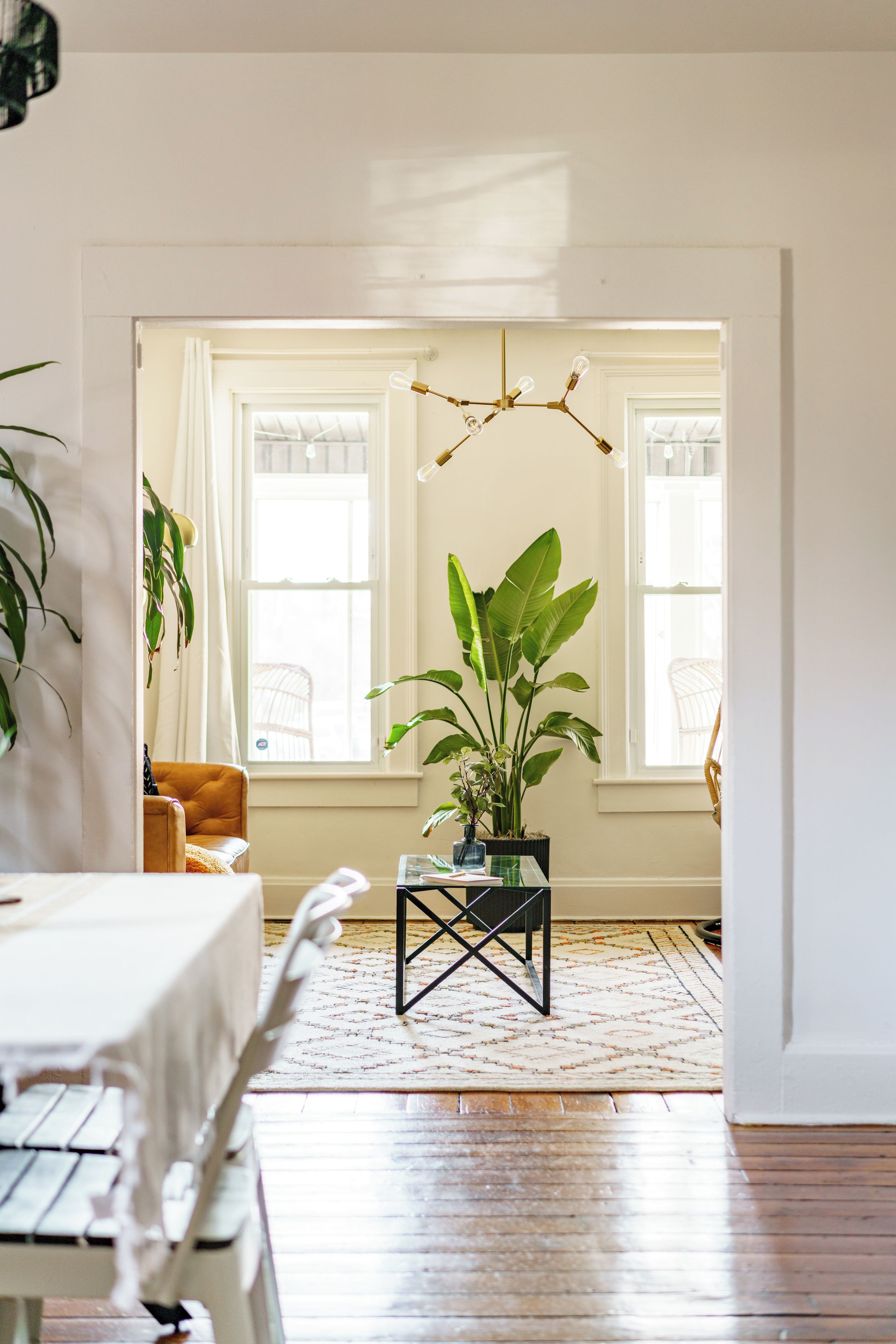 Una habitación con una mesa de comedor, sillas, una planta en maceta, una lámpara colgante y un ventanal con cortinas.