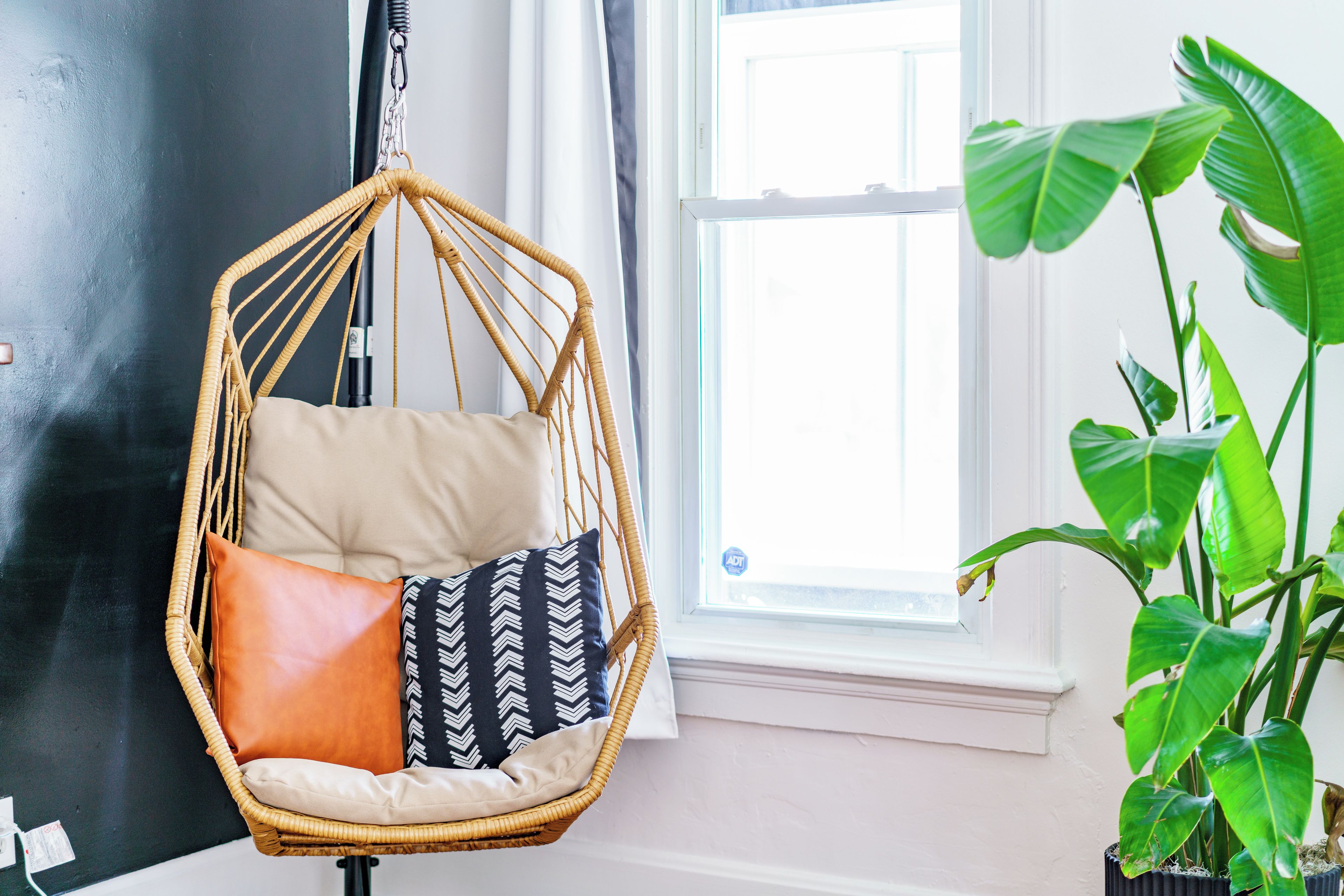 Una habitación con una silla colgante, una planta en maceta y una ventana.