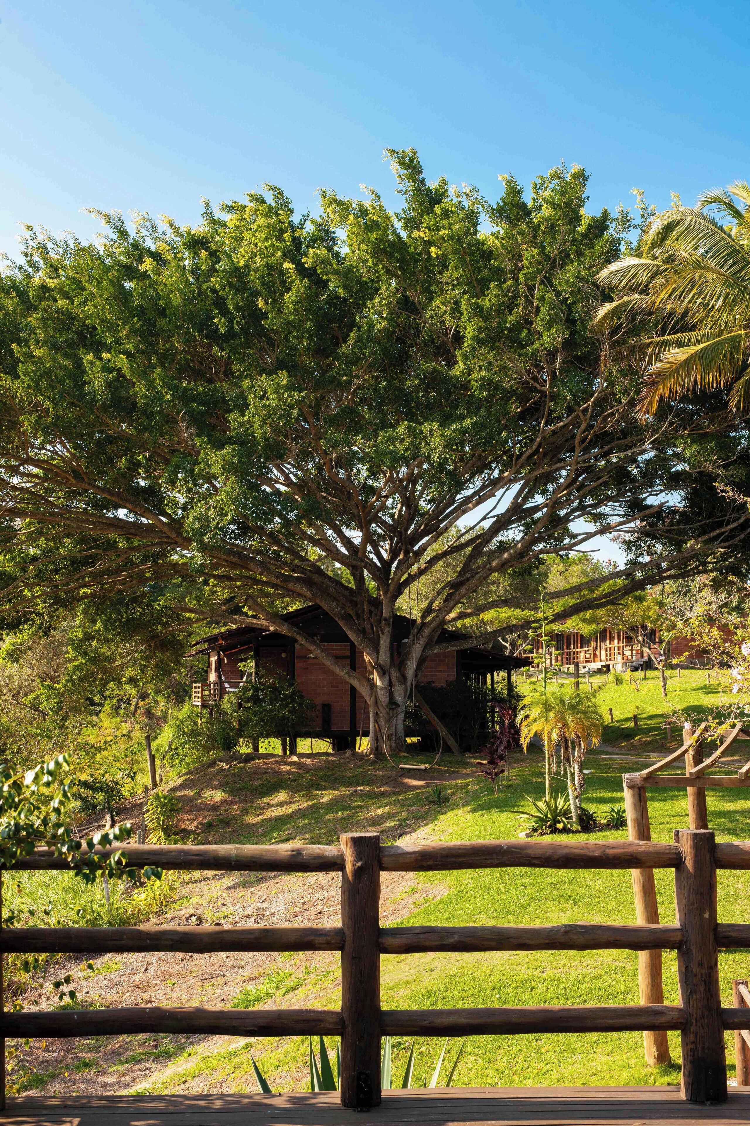 Una casa en los árboles, elevada sobre pilares, rodeada de abundante vegetación y una valla de madera.