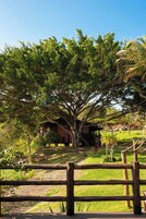 Una casa en los árboles, elevada sobre pilares, rodeada de abundante vegetación y una valla de madera.