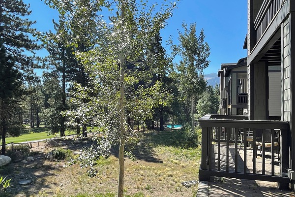 Parco della struttura