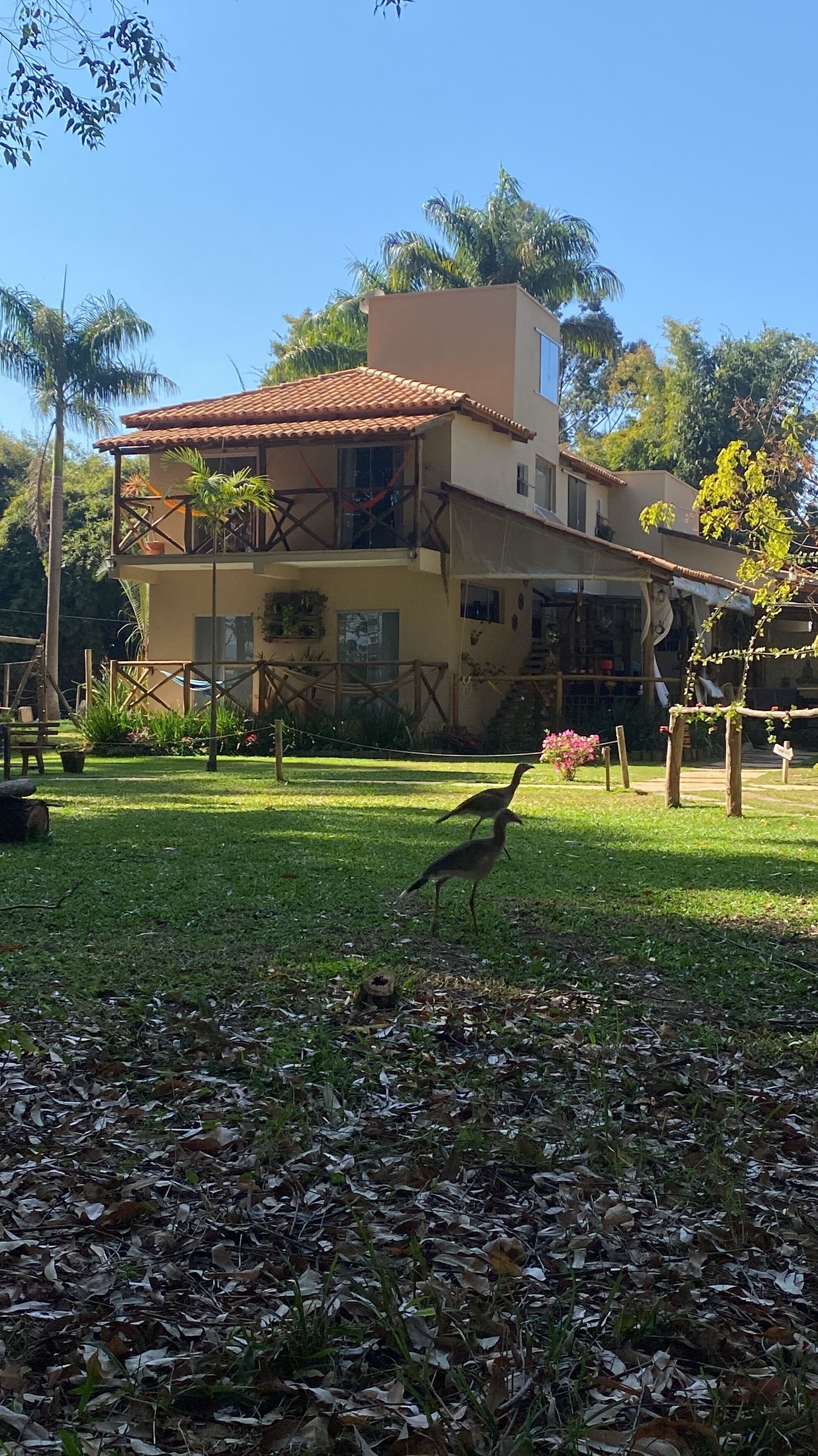 Um edifício de dois andares com telhado de azulejos, rodeado por vegetação exuberante e palmeiras.