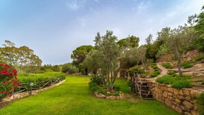 A well-maintained garden with a stone wall, a wooden bridge, and various trees and shrubs.