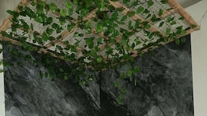 Una bañera de hidromasaje blanca con un fondo de pared de mármol y una planta verde colgante por encima.