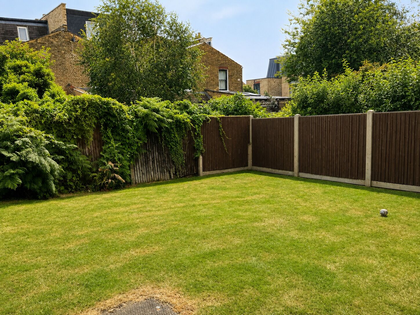 A backyard with a wooden fence, a grassy lawn, and a house in the background.