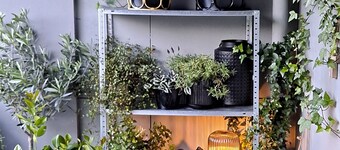 Modern Apartment With Sunny Balcony in Copenhagen