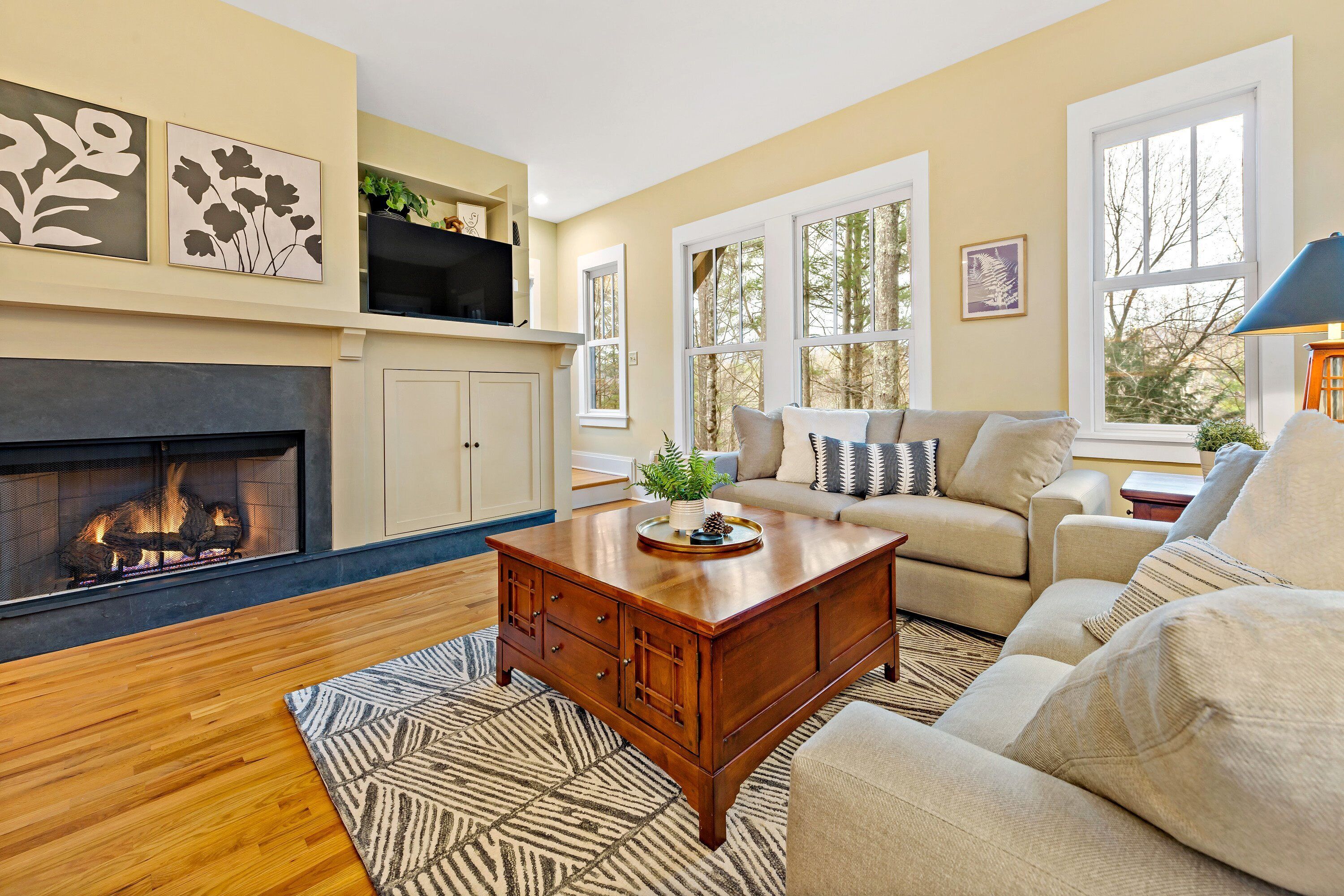 TV, fireplace, offices