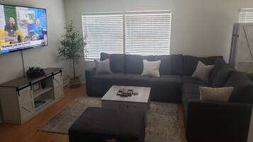 Smart TV, DVD player, books, video library