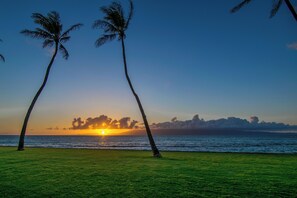 A sunset over a grassy area with palm trees.
