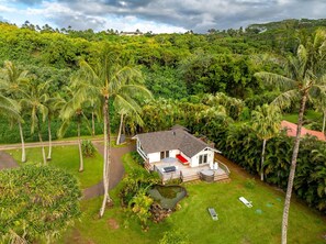 House, 2 Bedrooms | Aerial view - Coconut Hut 2 Bedroom Home by RedAwning (Kilauea)