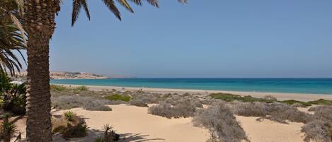 Plage à proximité