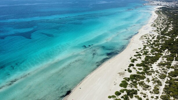 An aerial view of a beach with clear turquoise waters, a sandy shoreline, and scattered vegetation.