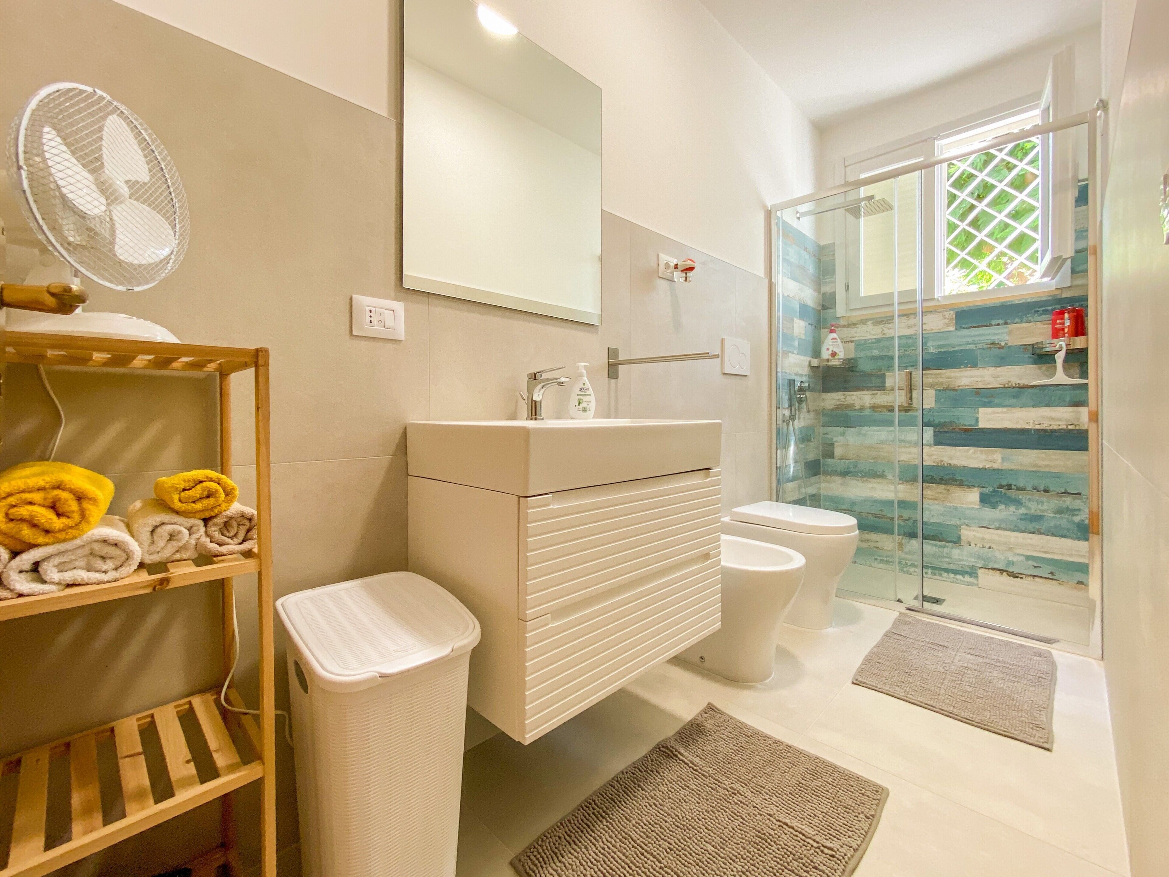 Shower, hair dryer, towels