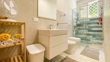 Shower, hair dryer, towels