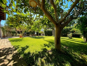 A well-maintained garden with a paved walkway, a large tree, and various plants.