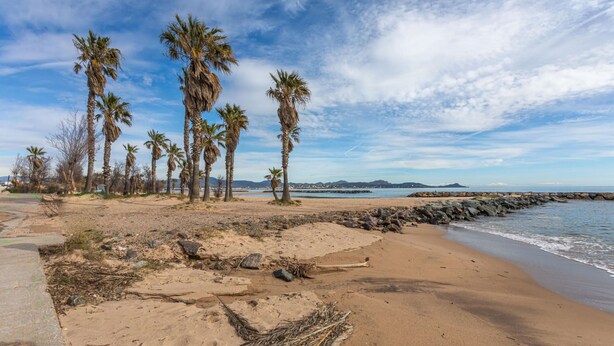 Una playa con palmeras, costa rocosa y una vista distante de islas.