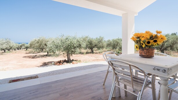 Un patio exterior con una mesa y sillas, una planta en maceta y vistas a olivos y al mar.