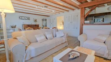 TV, fireplace, ping pong