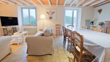 TV, fireplace, ping pong