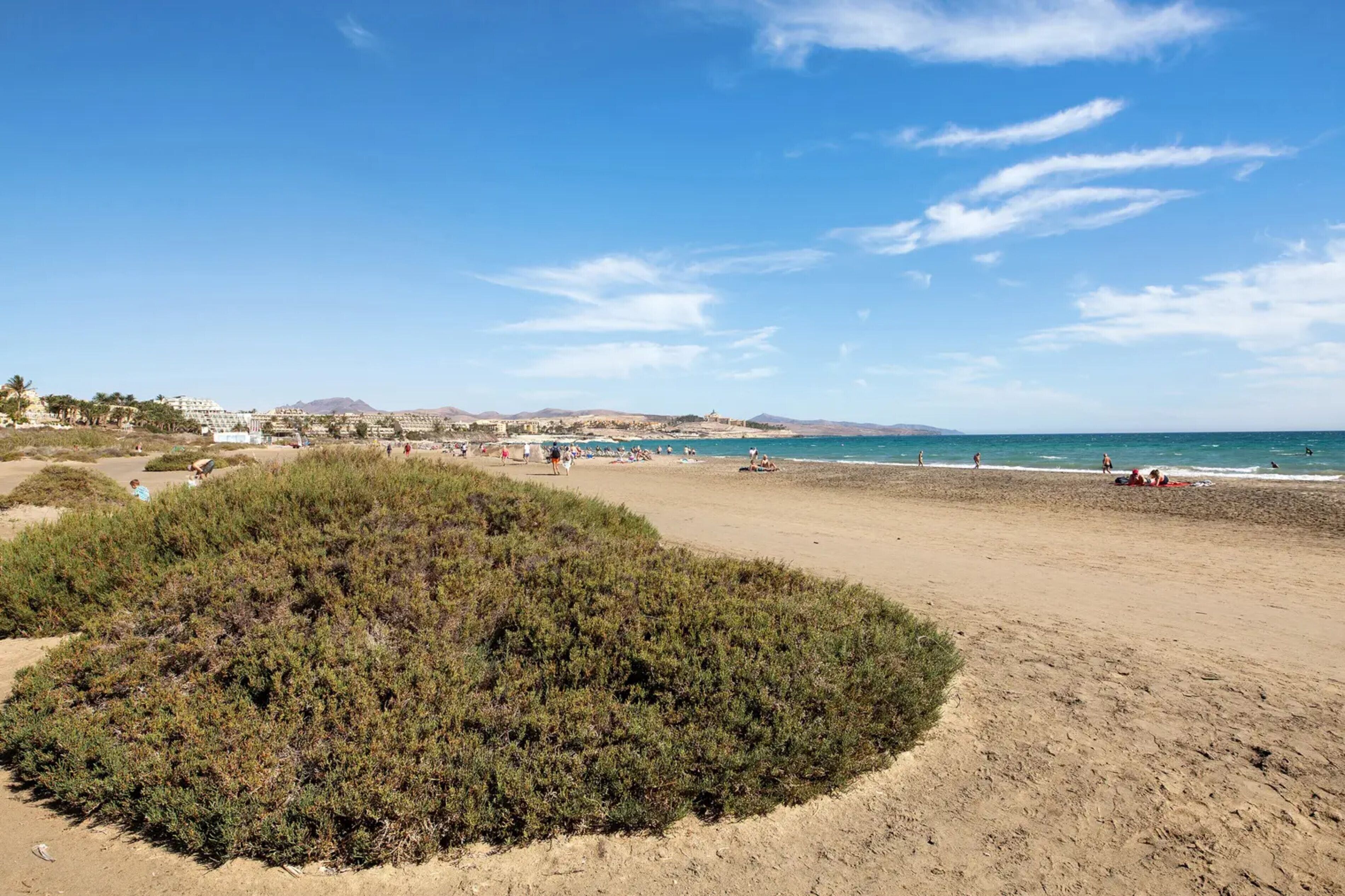 Vlak bij het strand