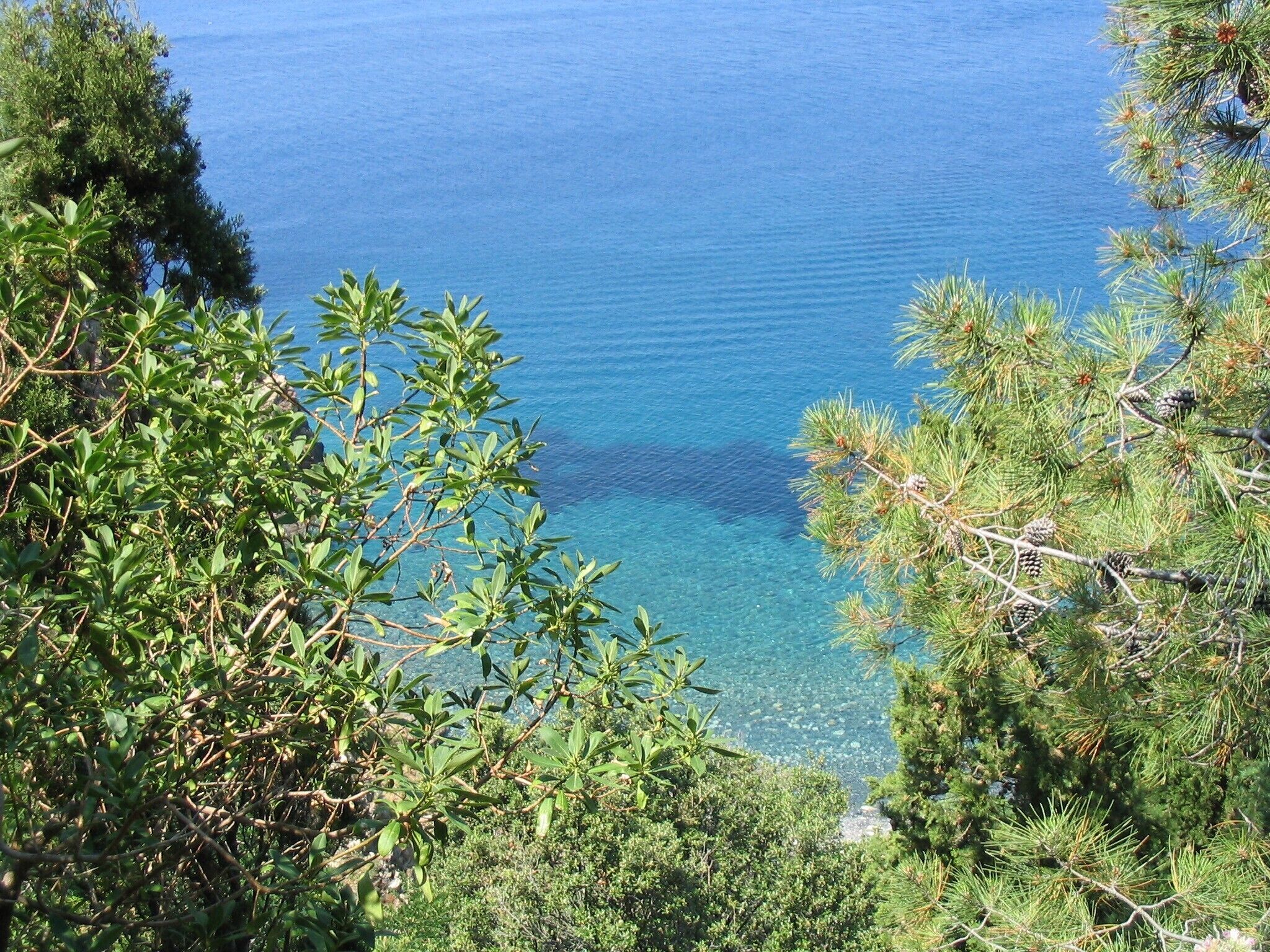 Vista costera con aguas azules cristalinas, abundante vegetación verde y pinos.