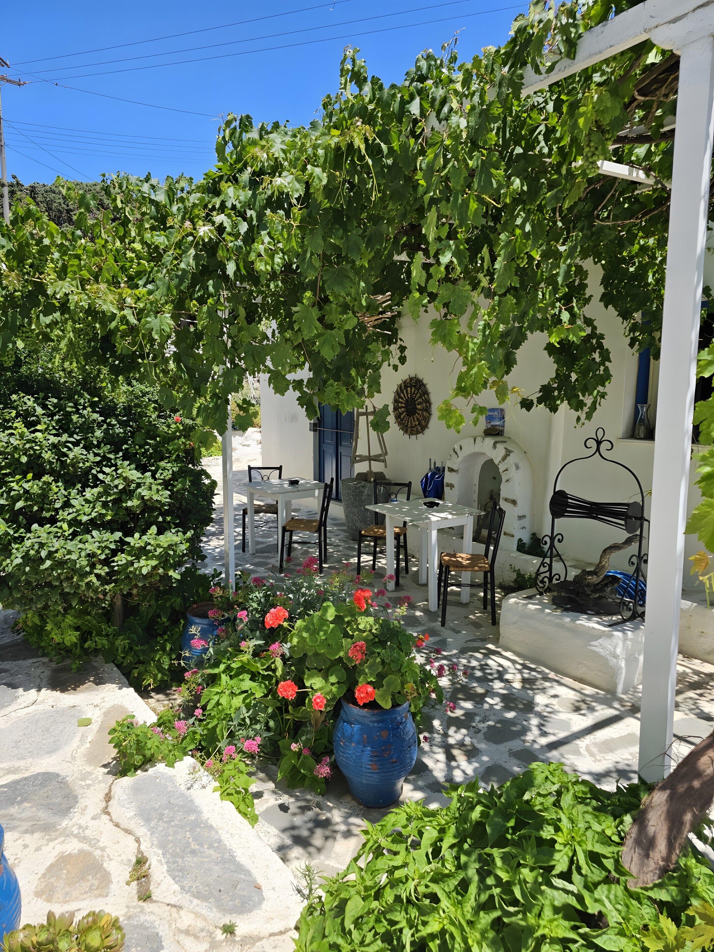 A garden with a pergola, outdoor seating, and a variety of plants.