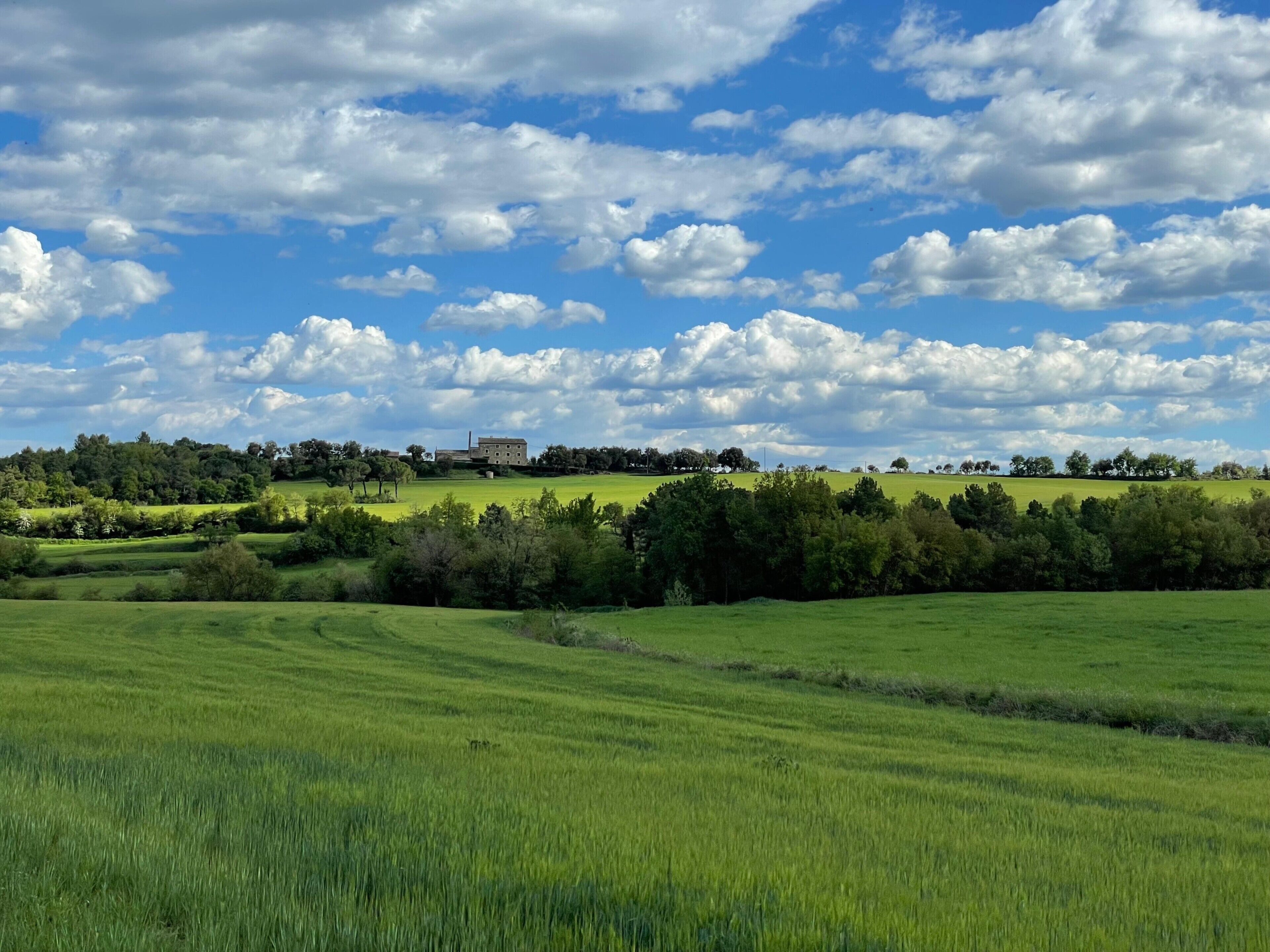 Un champ verdoyant avec un bâtiment qui se dessine à l’horizon.