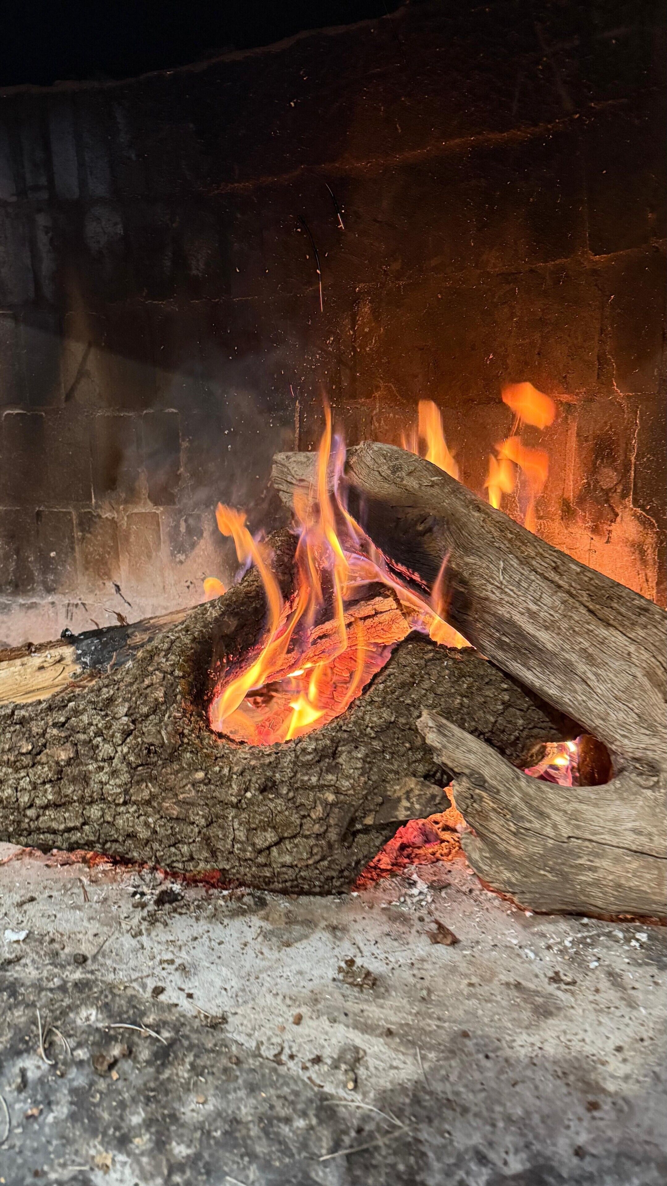Ein Kaminfeuer mit brennenden Holzscheiten und Flammen.