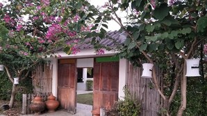 A traditional wooden structure with a tiled roof, surrounded by potted plants and a bamboo fence.