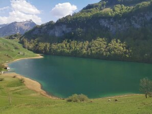 Golf - Quaint 2-bedroom condo in Seelisberg with stunning views (Seelisberg)