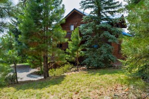 Unclassified image, 3 of 48, button