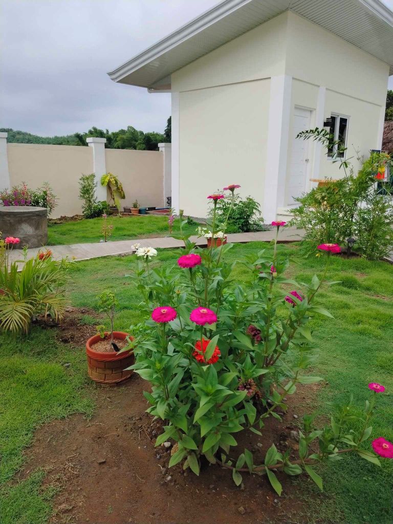 Taman