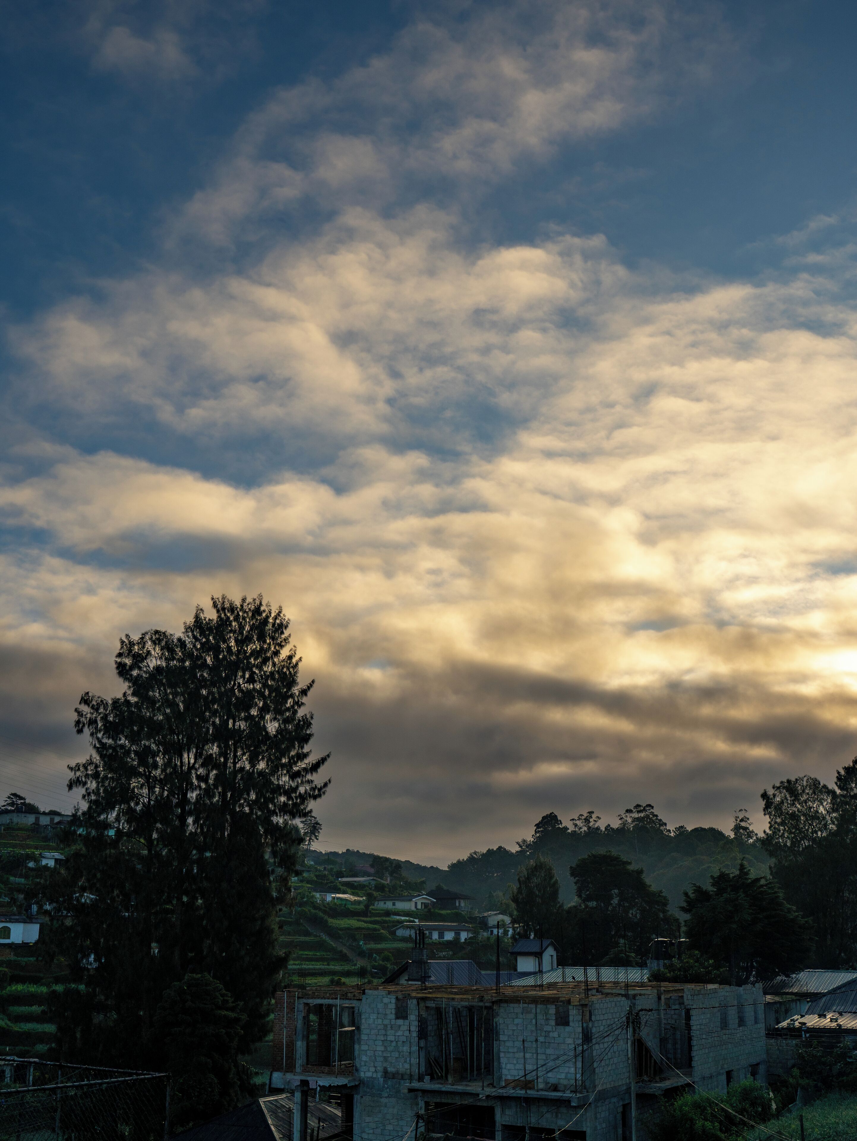 A rural landscape with a cloudy sky, a large tree, and a partially constructed building.