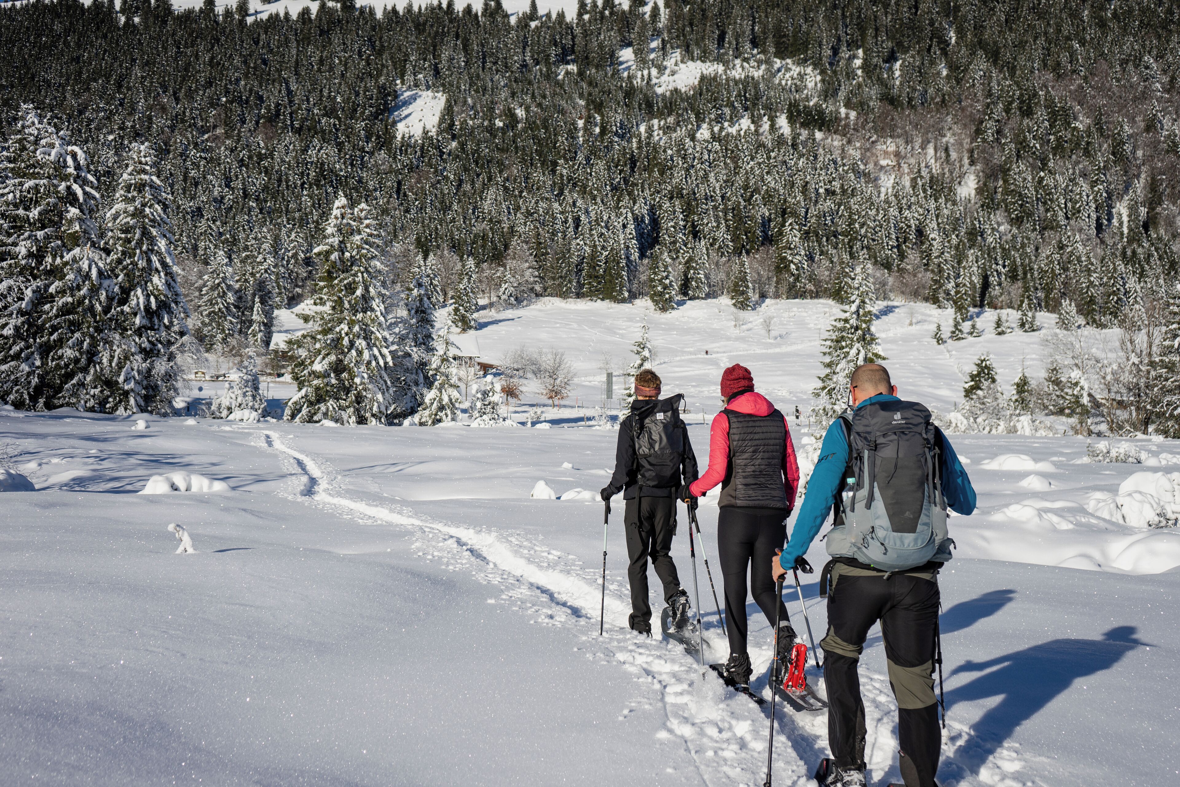 Een besneeerd landschap met een groep mensen die skiën.
