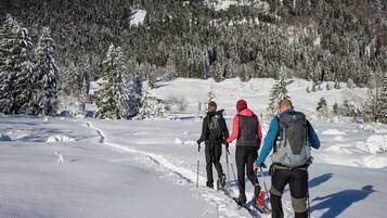 Een besneeerd landschap met een groep mensen die skiën.