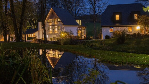 A traditional house with a pond in front, surrounded by trees. - Apartment 'Michels Mühle  - Pitt Sin Atelier' with Private Terrace, Private Garden and Wi-Fi (Brilon)