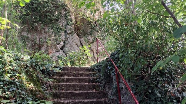 A set of stone steps leading up a rocky incline, surrounded by dense foliage and a red handrail. - Apartment in the Ries with Wi-Fi (Wallerstein)