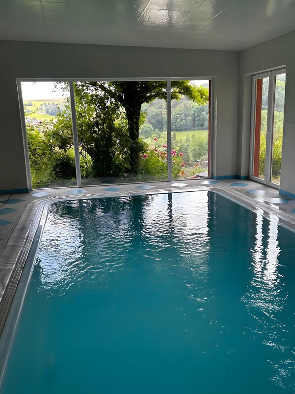 An indoor swimming pool with a view of greenery and a tree outside.