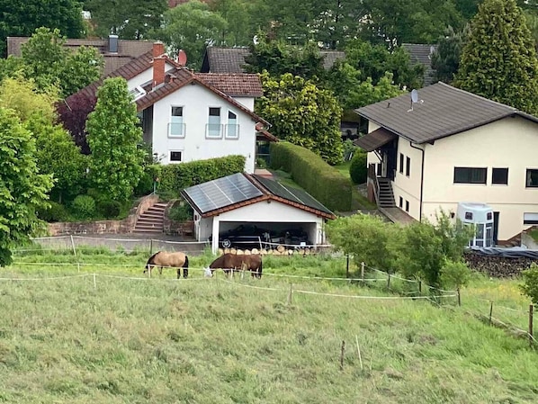 A residential area with houses, a garage, and horses grazing.