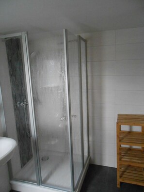 Shower, hair dryer, soap, toilet paper - Apartment-4 in house 1 (Krakow am See)