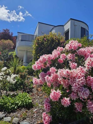 Property grounds - White Diamond Luxury Home & Apt Views a plenty (Queenstown)