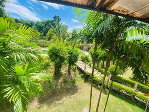 Vue sur le jardin