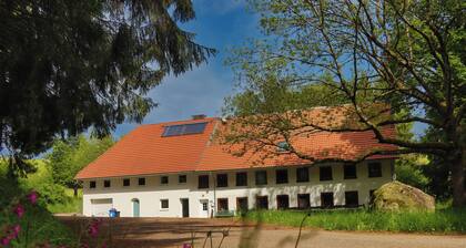 Schwarzwald Escape Studio mit KĂŒche und Badewanne