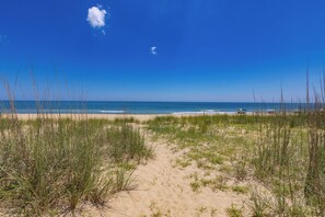 On the beach - An Octopus Hug, Oceanfront, Dog Friendly, 4 Bd. (Virginia Beach)